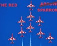 The Red Sparrows
