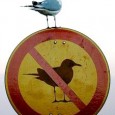 There are Rules and there are Laws There are Rules and there are Laws. The Rules are made by men who think that they know better how to fly your airplane than you. Laws (of Physics) were...