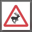 CFI and his Student are holding on the runway for departing cross traffic when suddenly a deer runs out of the nearby woods, stops in the middle of the runway,...