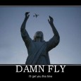 Perfectly Timed Photo – Damn Fly