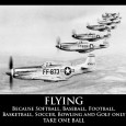 Why We Fly