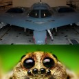 Famous Lookalikes – B-2