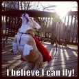 I believe I can touch the sky