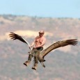 Russian President Putin teaching endangered cranes to fly