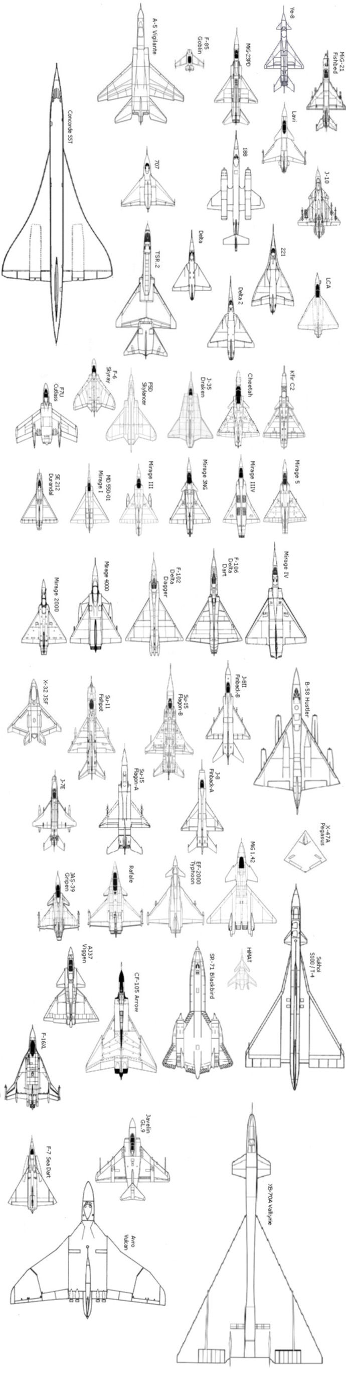 The delta wing and its variants