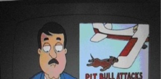 Pit bull attacks Cessna