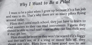 Why I Want To Be A Pilot