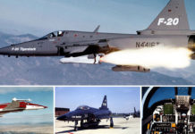 Hilarious Fighter Jet Ad for F-20 Tigershark