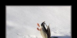Flying – You are doing it wrong!!!