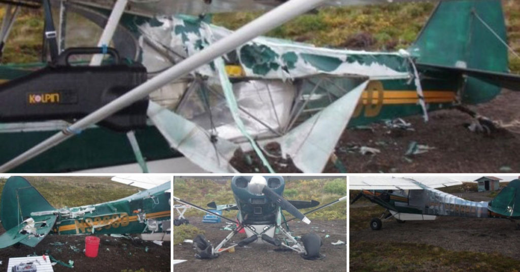 Repair a plane after a bear attack
