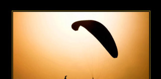 Minds Are Like Parachutes