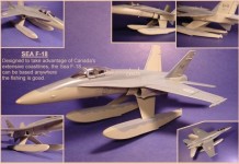 Canadian F-18 Sea Hornet