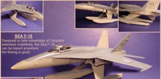 Canadian F-18 Sea Hornet