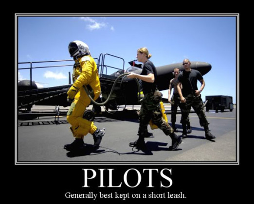 Pilot Tamer - Aviation Humor