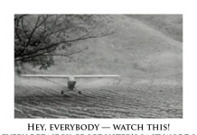 Hey, everybody — watch this!