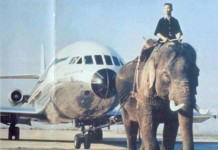 Elephant service