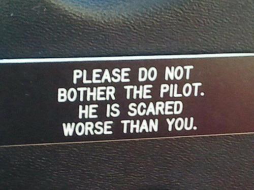 Please do not bother the pilot! - Aviation Humor