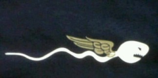 Born to be a pilot