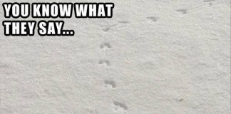 You know what they say…