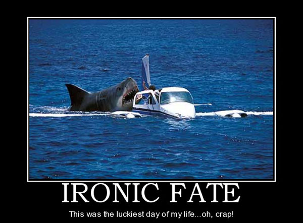 ironic-fate-fate-lucky-plane-shark