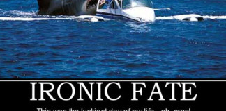 Ironic Fate