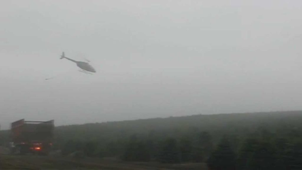 helicopter pilot harvesting Christmas trees