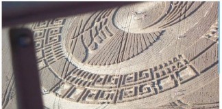 Crop Circles vs Helicopter