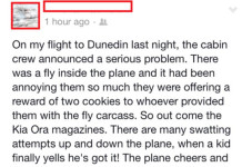Flight’s Fly Problem