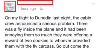 Flight’s Fly Problem