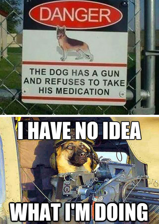 funny-warning-dog-sign-weapon