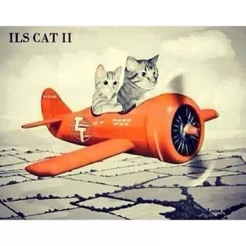 ILS CAT II