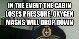 Captain Kitty Gives The Right Instructions