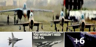 F-14 Tomcat Memes and Jokes Collection