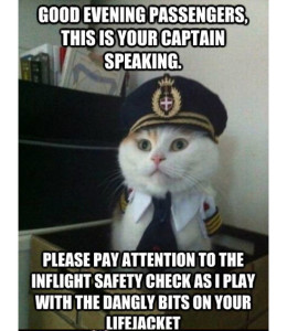 Captain Kitten – Inflight Safety - Aviation Humor