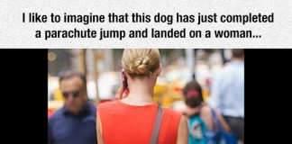Parachute Jump