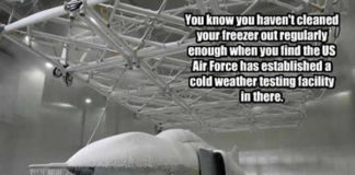 You know you haven’t cleaned your freezer out…