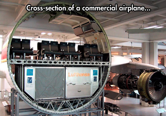 cool-airplane-inside-Lufthansa-seats
