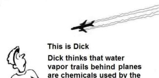 This is Dick…