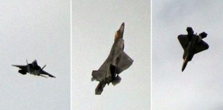 Awesome F-22 Raptor Freefall Floating Flight
