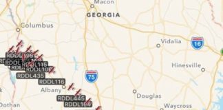 Nature at work: The great cessna migration