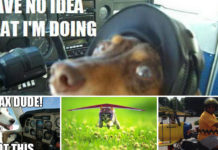 Aviation Geek’s Favorite Pets