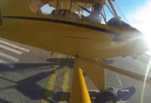 Dog totally disowns his owner after a bouncy landing