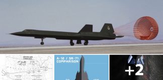 Why Is SR-71 Blackbird An Aircraft Like No Other?