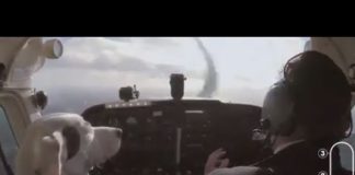 Someone must have been real high when they decided ”hey, I bet we can make the dog fly the plane”