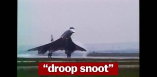 In all my days of seeing snoots and droops, that’s the droopiest snoot I’ve ever seen!