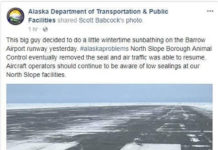 Alaska DOT/DPS Providing one of the best puns