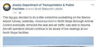 Alaska DOT/DPS Providing one of the best puns