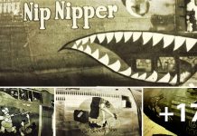 Best Examples of Airplane Art During World War Two