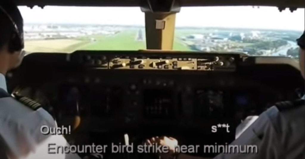 Boeing 747 Bird Strike