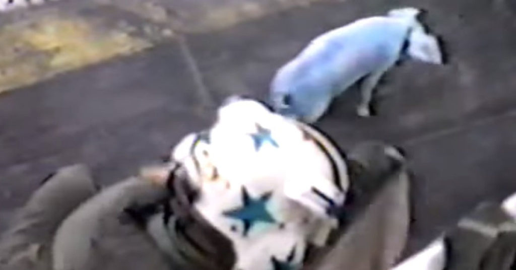 Greased Pigs on the USS Saratoga Aircraft Carrier
